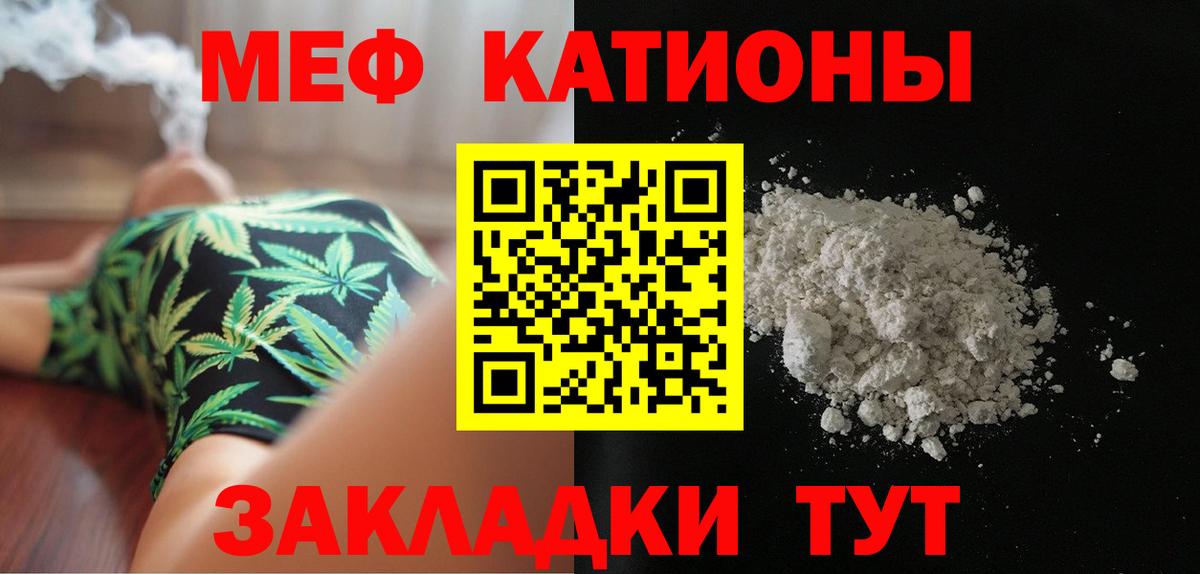 МЕФ  Новозыбков