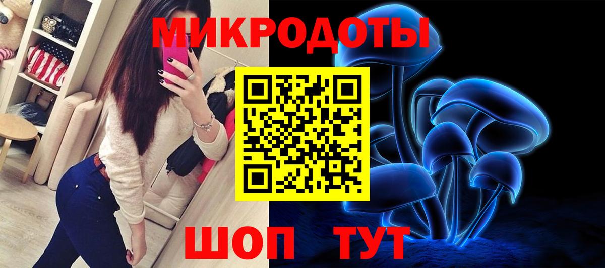Псилоцибиновые грибы MAGIC MUSHROOMS  Псилоцибиновые грибы MAGIC MUSHROOMS  Новозыбков  как найти закладки  Вход с VPN 